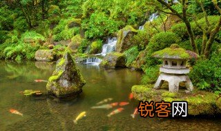 pool怎么读 pool的意思