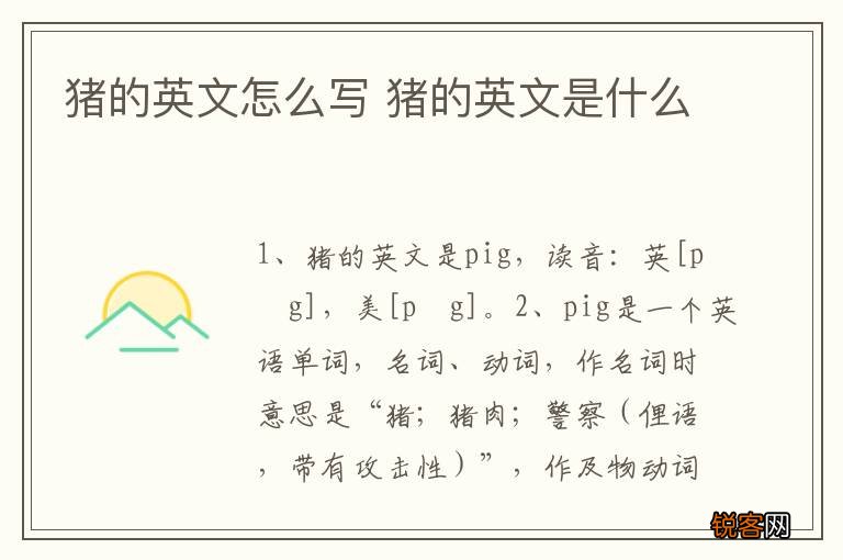 猪的英文怎么写 猪的英文是什么