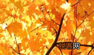 秋天的怀念第二段蕴含了作者怎样的思想感情 词: 秋天的怀念第二段的思想感情