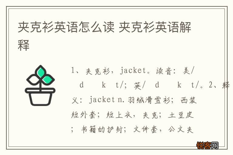 夹克衫英语怎么读 夹克衫英语解释