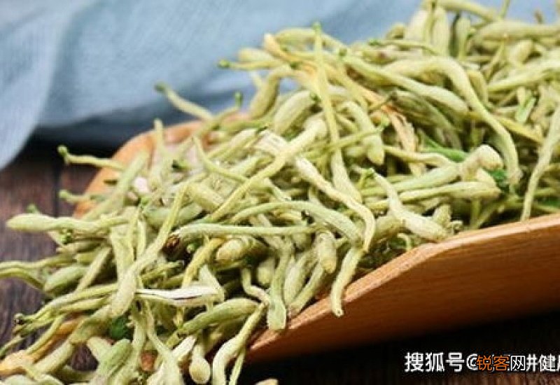 金银花用冷水还是热水泡