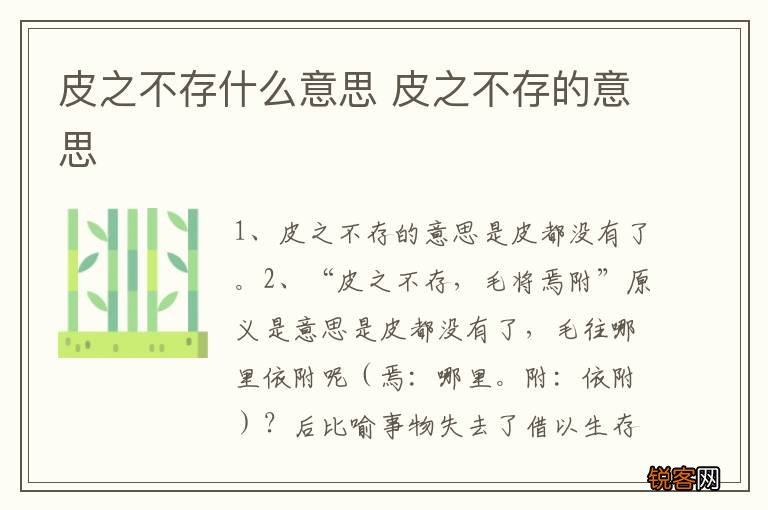 皮之不存什么意思 皮之不存的意思