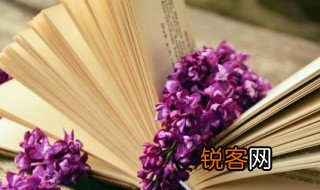 无所畏惧的意思是什么 无所畏惧的含义