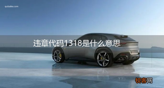 违章代码1318是什么意思