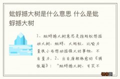 蚍蜉撼大树是什么意思 什么是蚍蜉撼大树