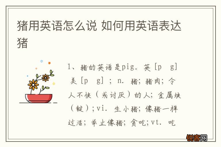 猪用英语怎么说 如何用英语表达猪