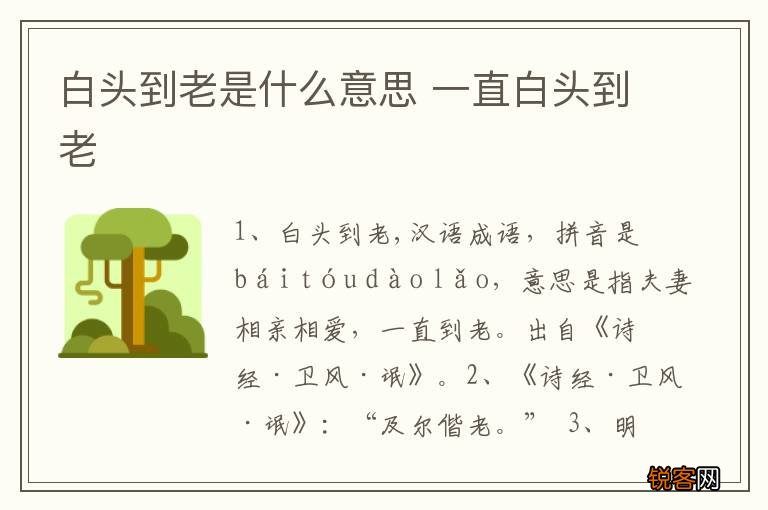 白头到老是什么意思 一直白头到老