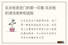 玄关柜是进门的第一印象 玄关柜的清洁保养和选购
