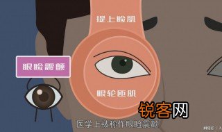 左右眼皮跳的真正含义 眼皮跳的真正原因是什么