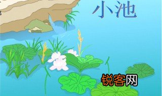 小池这首诗描写了哪些景物 小池这首诗中写了什么景物
