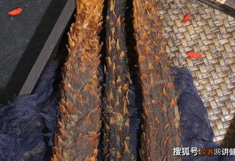 肉苁蓉应该怎么吃效果最好