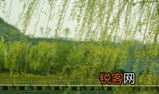 关于风景的诗句古诗 关于风景的古诗有哪些