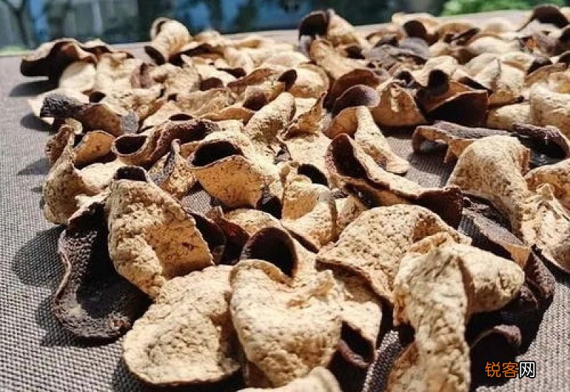 陈皮如何保存才不生虫