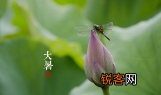 关于夏的古诗 关于夏的古诗有哪些