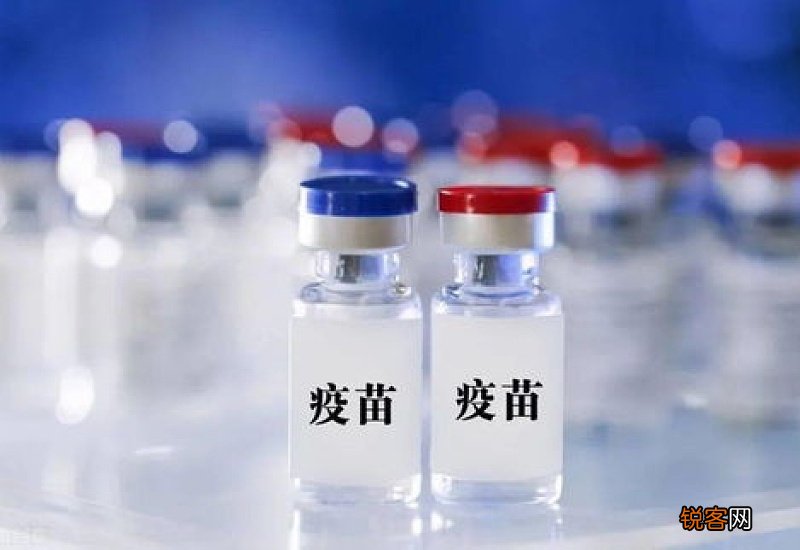 打新冠疫苗可以吃龟苓膏吗