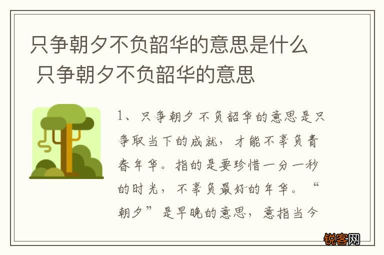 只争朝夕不负韶华的意思是什么 只争朝夕不负韶华的意思