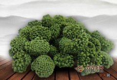 三七花泡水喝的功效与禁忌与副作用 三七花什么人不能喝