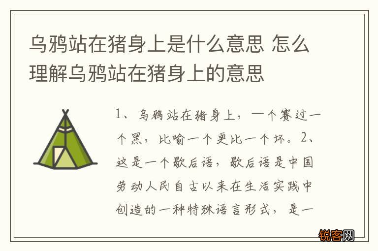 乌鸦站在猪身上是什么意思 怎么理解乌鸦站在猪身上的意思