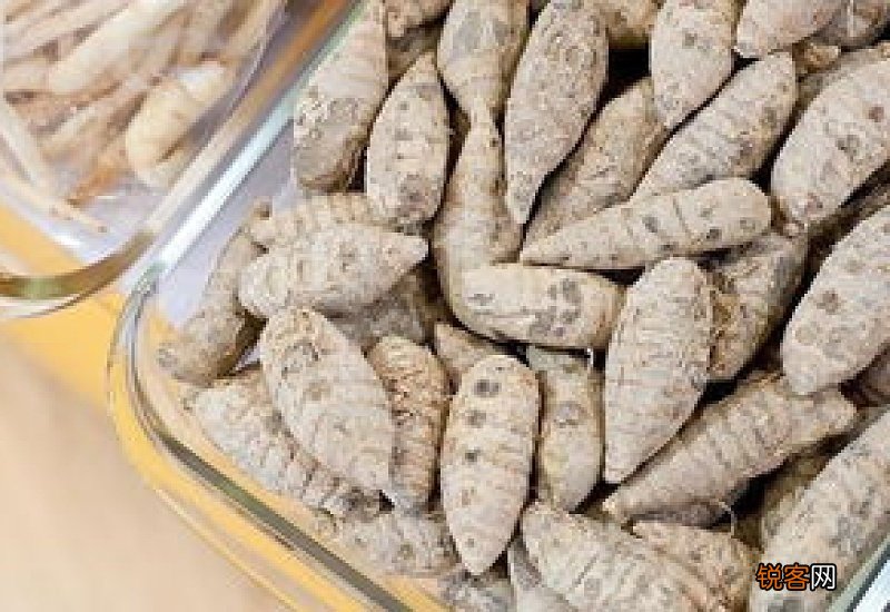 天麻粉吃多久才有效果