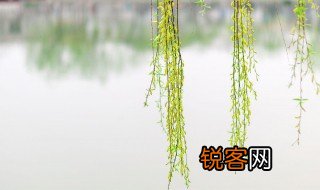咏柳是描写什么季节的 咏柳的作者是谁
