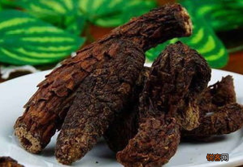 肉苁蓉泡水一次多少克合适
