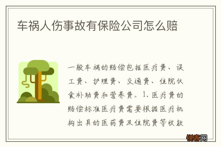 车祸人伤事故有保险公司怎么赔