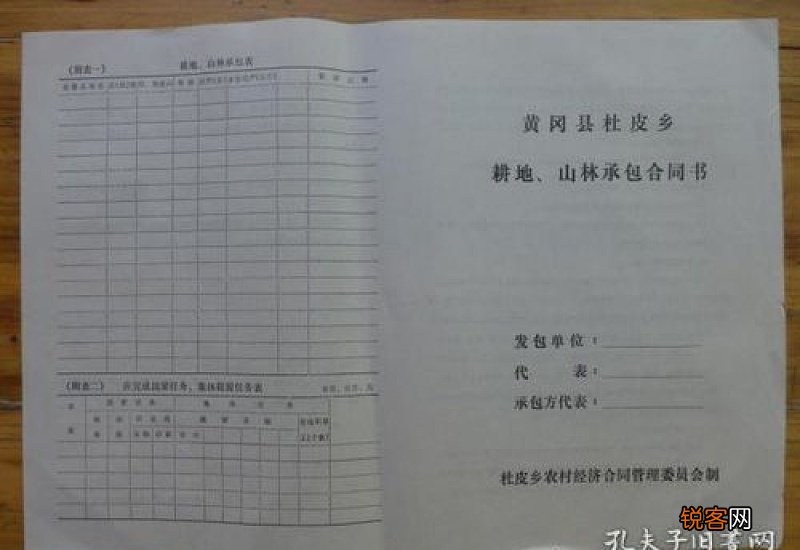 农村山林合作协议书
