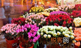 百花怒放的意思 百花怒放的解释