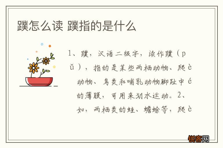 蹼怎么读 蹼指的是什么