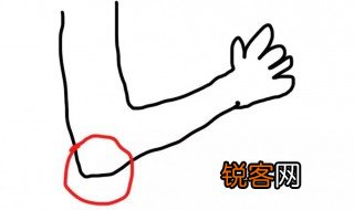 肘怎么读 肘是什么意思