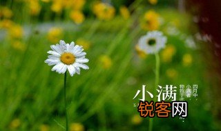 24节气小满知识大全 小满是第几个节气