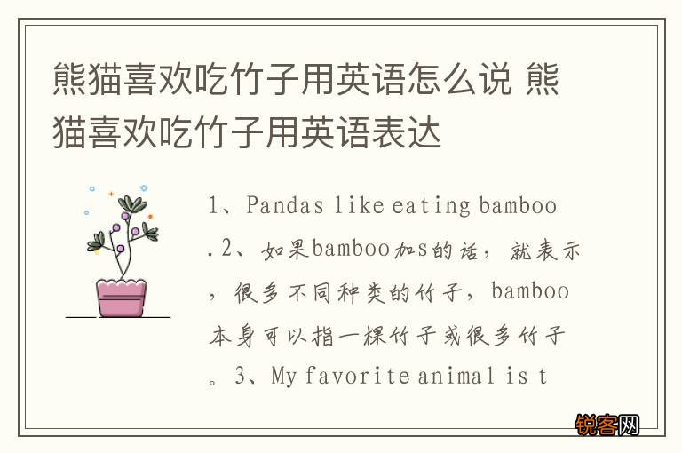 熊猫喜欢吃竹子用英语怎么说 熊猫喜欢吃竹子用英语表达