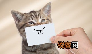 成语喜笑颜开是什么意思 成语喜笑颜开的意思