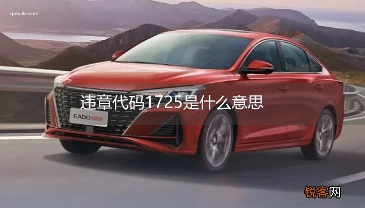 违章代码1725是什么意思