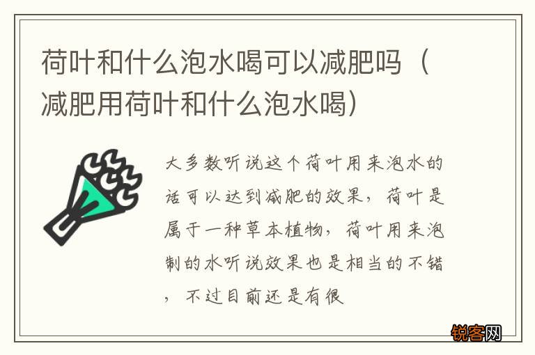 减肥用荷叶和什么泡水喝 荷叶和什么泡水喝可以减肥吗