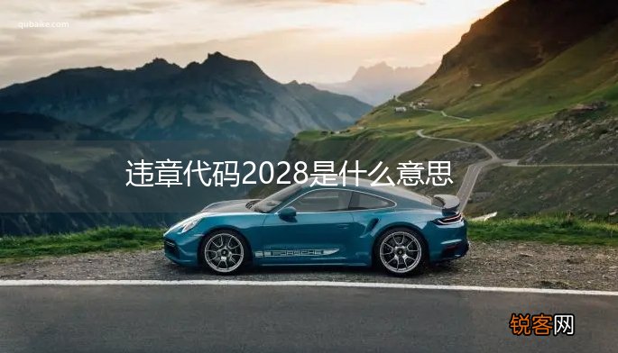 违章代码2028是什么意思