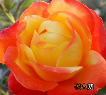 女人缩阴用什么方法