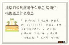 成语归根到底是什么意思 词语归根到底是什么意思