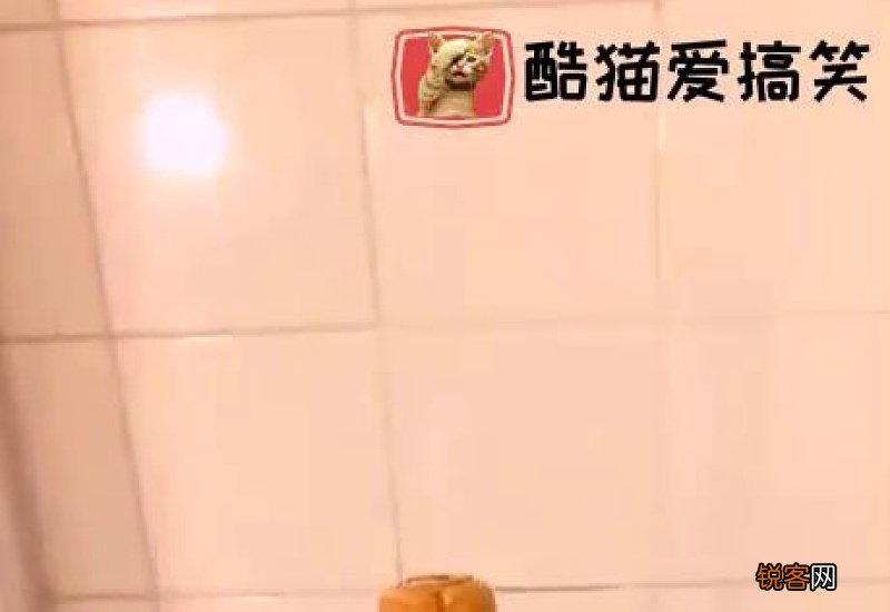 可乐加什么可以洗马桶