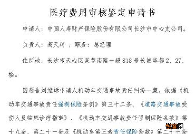 交通事故鉴定申请书