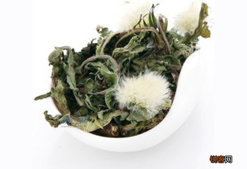 蒲公英茶有没有减肥的作用 喝蒲公英茶瘦了10斤正常吗