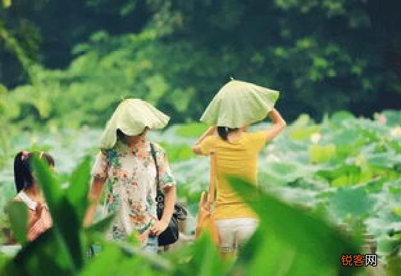 2021小暑会下雨吗