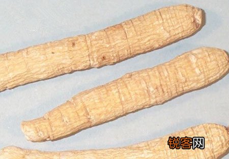 芒种“清补”应该注意什么