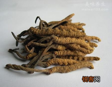 冬虫夏草煮水当茶喝调养身体最佳