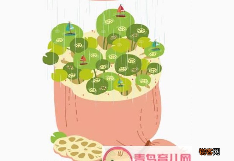 2021小暑吃什么食物养生