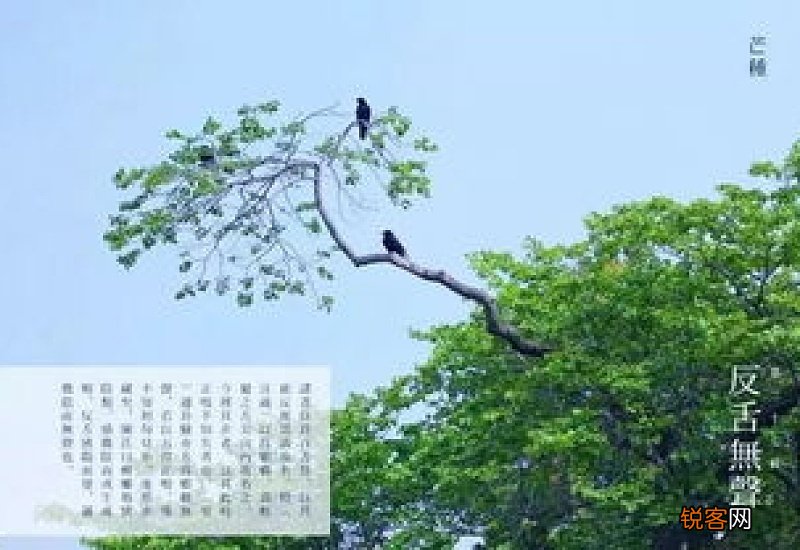 芒种几点几分开始2022