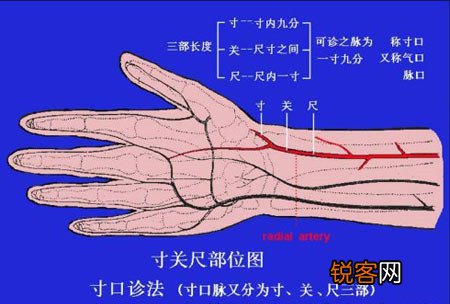 察颜切脉先辨阴阳