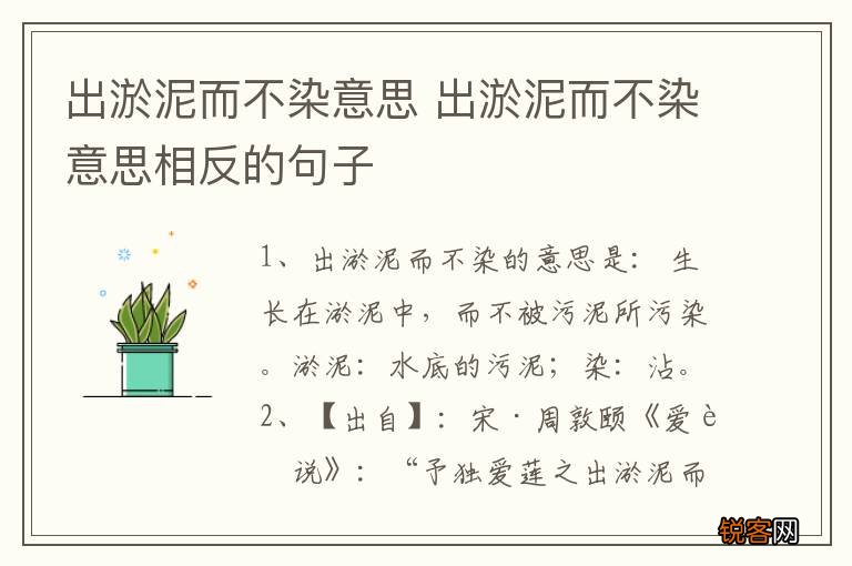 出淤泥而不染意思 出淤泥而不染意思相反的句子