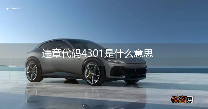 违章代码4301是什么意思