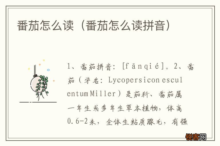 番茄怎么读拼音 番茄怎么读